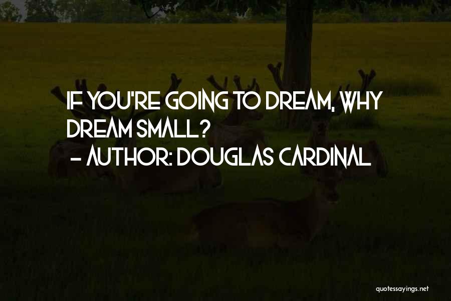 Douglas Cardinal Quotes: If You're Going To Dream, Why Dream Small?