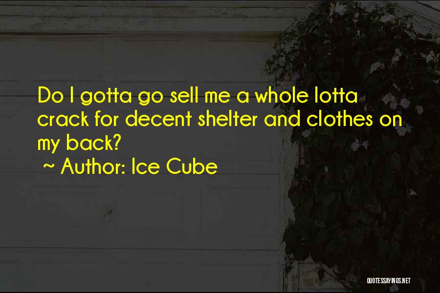Ice Cube Quotes: Do I Gotta Go Sell Me A Whole Lotta Crack For Decent Shelter And Clothes On My Back?