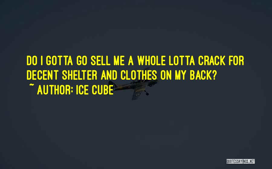 Ice Cube Quotes: Do I Gotta Go Sell Me A Whole Lotta Crack For Decent Shelter And Clothes On My Back?