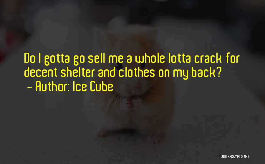 Ice Cube Quotes: Do I Gotta Go Sell Me A Whole Lotta Crack For Decent Shelter And Clothes On My Back?