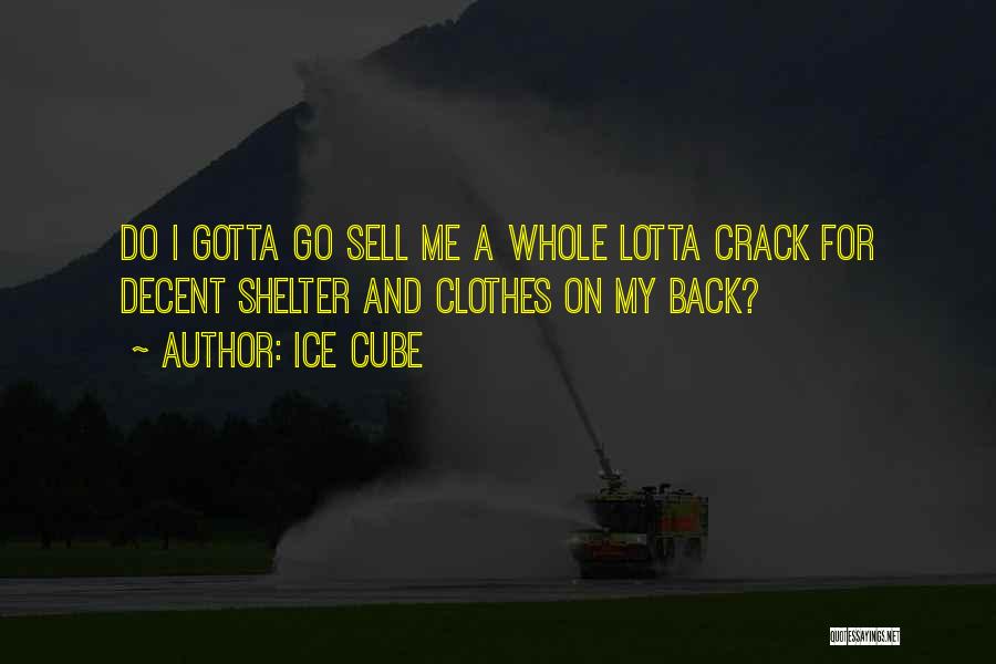 Ice Cube Quotes: Do I Gotta Go Sell Me A Whole Lotta Crack For Decent Shelter And Clothes On My Back?