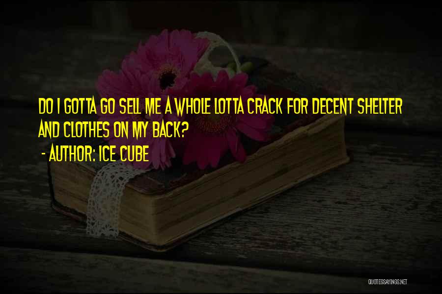 Ice Cube Quotes: Do I Gotta Go Sell Me A Whole Lotta Crack For Decent Shelter And Clothes On My Back?