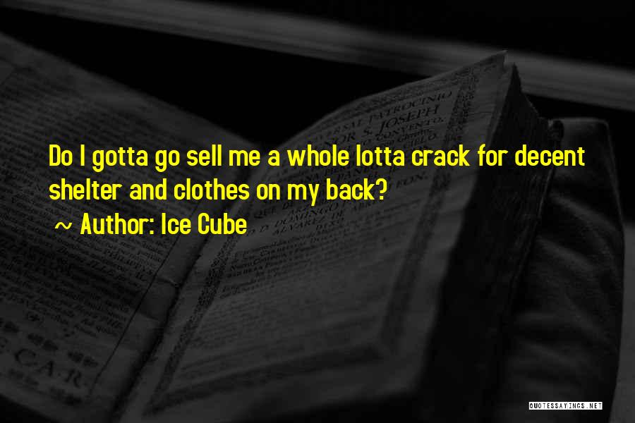 Ice Cube Quotes: Do I Gotta Go Sell Me A Whole Lotta Crack For Decent Shelter And Clothes On My Back?