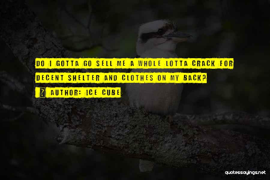 Ice Cube Quotes: Do I Gotta Go Sell Me A Whole Lotta Crack For Decent Shelter And Clothes On My Back?
