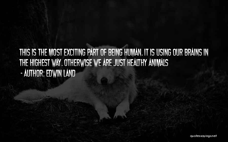 Edwin Land Quotes: This Is The Most Exciting Part Of Being Human. It Is Using Our Brains In The Highest Way. Otherwise We