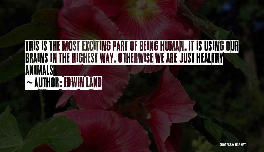Edwin Land Quotes: This Is The Most Exciting Part Of Being Human. It Is Using Our Brains In The Highest Way. Otherwise We