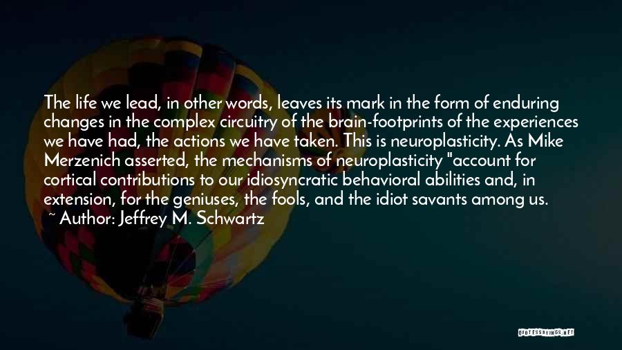 Jeffrey M. Schwartz Quotes: The Life We Lead, In Other Words, Leaves Its Mark In The Form Of Enduring Changes In The Complex Circuitry