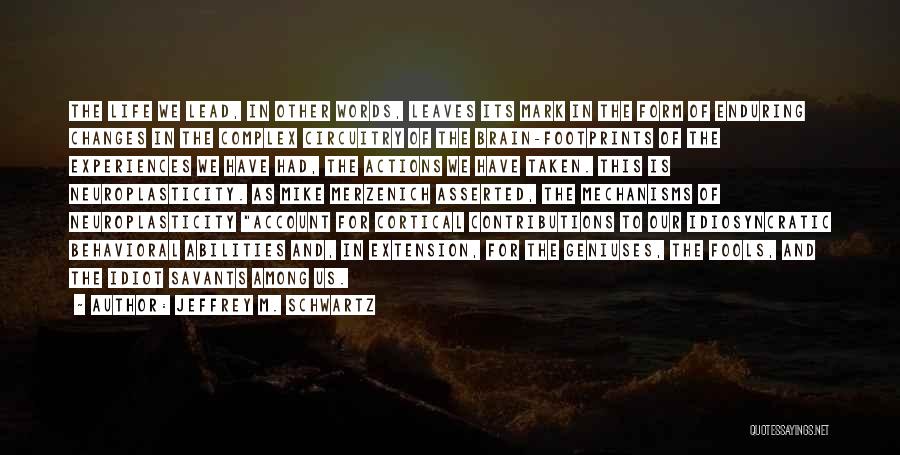 Jeffrey M. Schwartz Quotes: The Life We Lead, In Other Words, Leaves Its Mark In The Form Of Enduring Changes In The Complex Circuitry