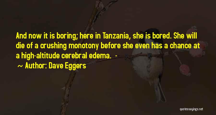 Dave Eggers Quotes: And Now It Is Boring; Here In Tanzania, She Is Bored. She Will Die Of A Crushing Monotony Before She