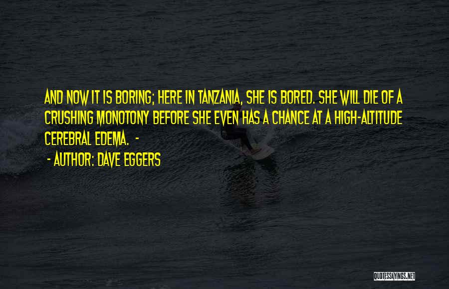 Dave Eggers Quotes: And Now It Is Boring; Here In Tanzania, She Is Bored. She Will Die Of A Crushing Monotony Before She