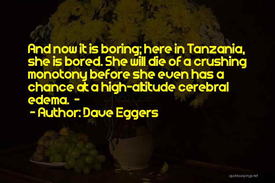 Dave Eggers Quotes: And Now It Is Boring; Here In Tanzania, She Is Bored. She Will Die Of A Crushing Monotony Before She