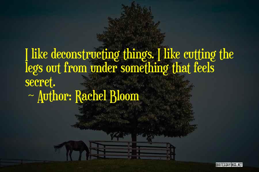 Rachel Bloom Quotes: I Like Deconstructing Things. I Like Cutting The Legs Out From Under Something That Feels Secret.