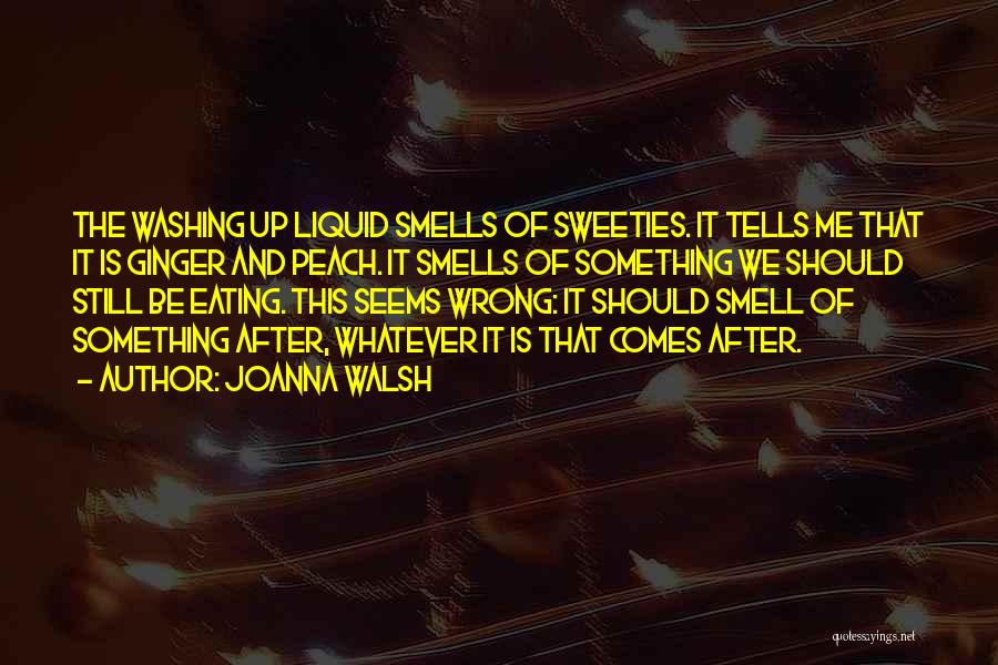 Joanna Walsh Quotes: The Washing Up Liquid Smells Of Sweeties. It Tells Me That It Is Ginger And Peach. It Smells Of Something