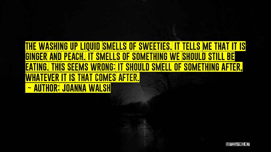 Joanna Walsh Quotes: The Washing Up Liquid Smells Of Sweeties. It Tells Me That It Is Ginger And Peach. It Smells Of Something