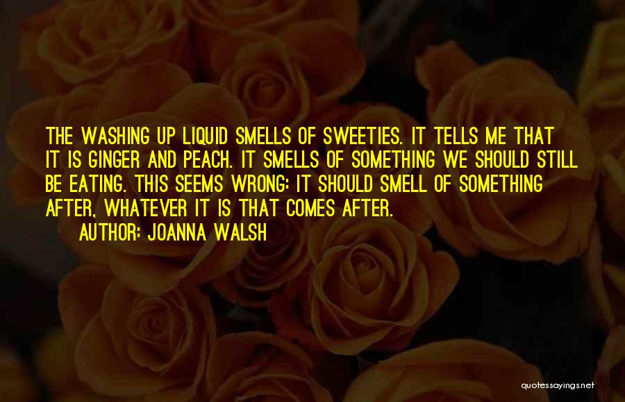 Joanna Walsh Quotes: The Washing Up Liquid Smells Of Sweeties. It Tells Me That It Is Ginger And Peach. It Smells Of Something