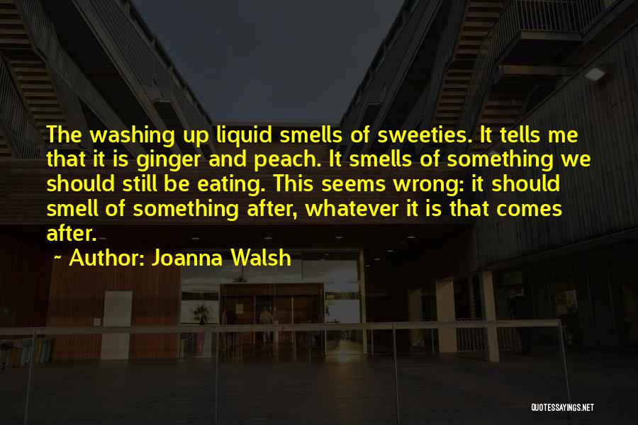 Joanna Walsh Quotes: The Washing Up Liquid Smells Of Sweeties. It Tells Me That It Is Ginger And Peach. It Smells Of Something