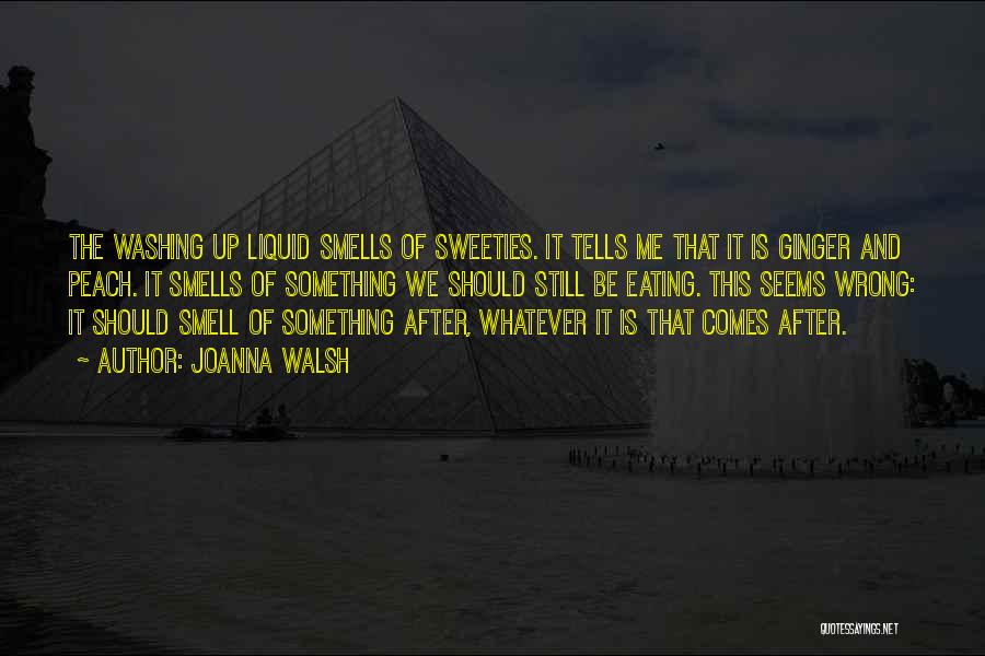 Joanna Walsh Quotes: The Washing Up Liquid Smells Of Sweeties. It Tells Me That It Is Ginger And Peach. It Smells Of Something