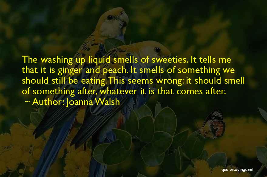 Joanna Walsh Quotes: The Washing Up Liquid Smells Of Sweeties. It Tells Me That It Is Ginger And Peach. It Smells Of Something