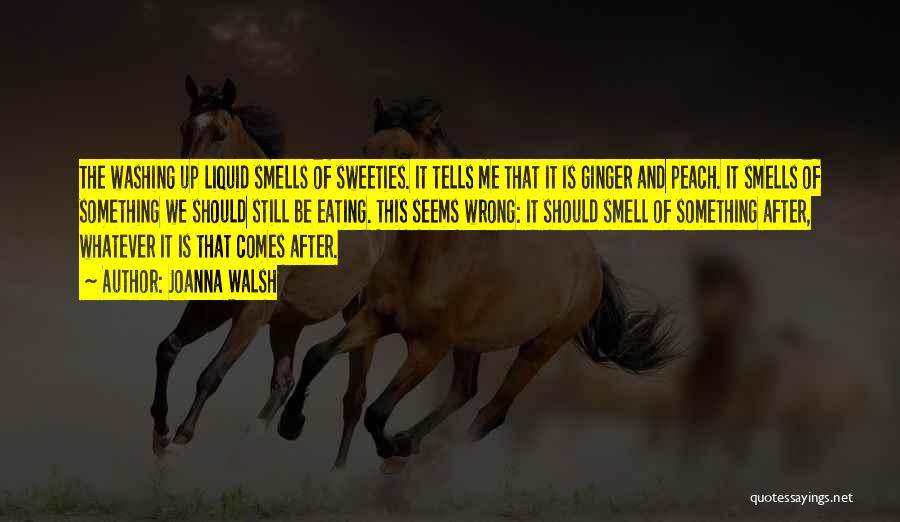 Joanna Walsh Quotes: The Washing Up Liquid Smells Of Sweeties. It Tells Me That It Is Ginger And Peach. It Smells Of Something