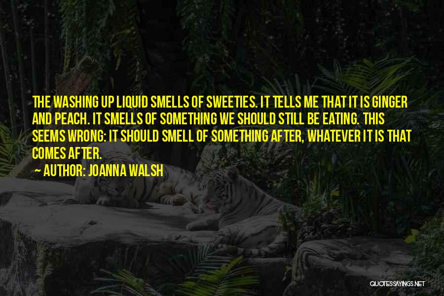 Joanna Walsh Quotes: The Washing Up Liquid Smells Of Sweeties. It Tells Me That It Is Ginger And Peach. It Smells Of Something