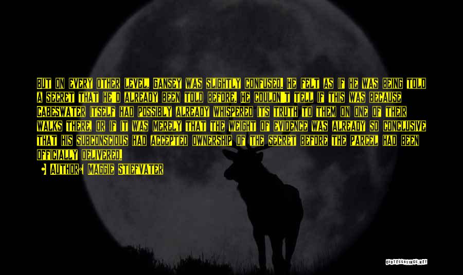 Maggie Stiefvater Quotes: But On Every Other Level, Gansey Was Slightly Confused. He Felt As If He Was Being Told A Secret That