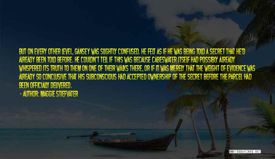 Maggie Stiefvater Quotes: But On Every Other Level, Gansey Was Slightly Confused. He Felt As If He Was Being Told A Secret That