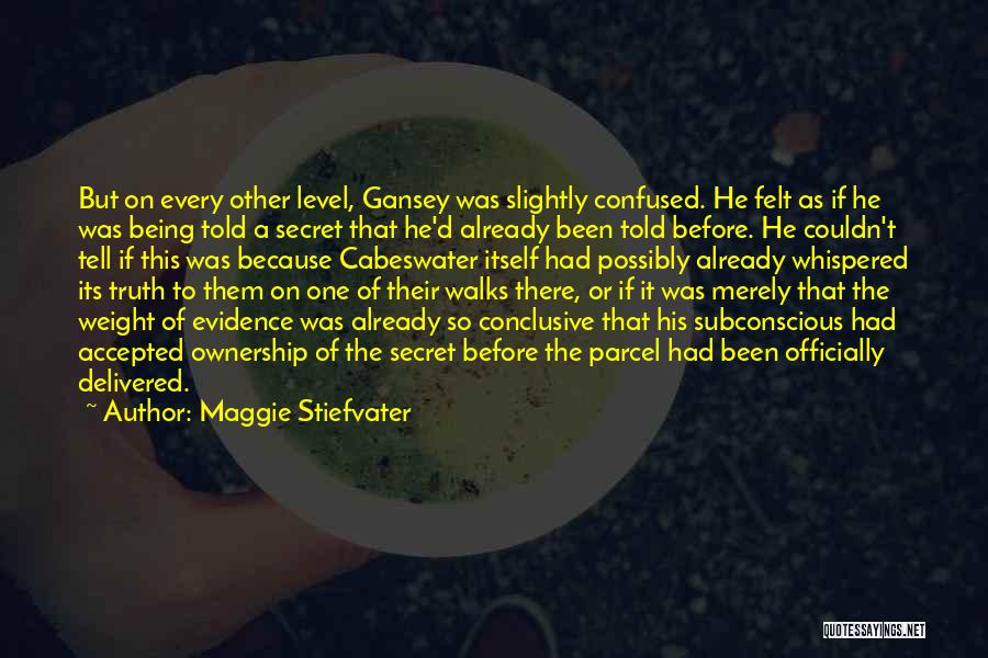 Maggie Stiefvater Quotes: But On Every Other Level, Gansey Was Slightly Confused. He Felt As If He Was Being Told A Secret That