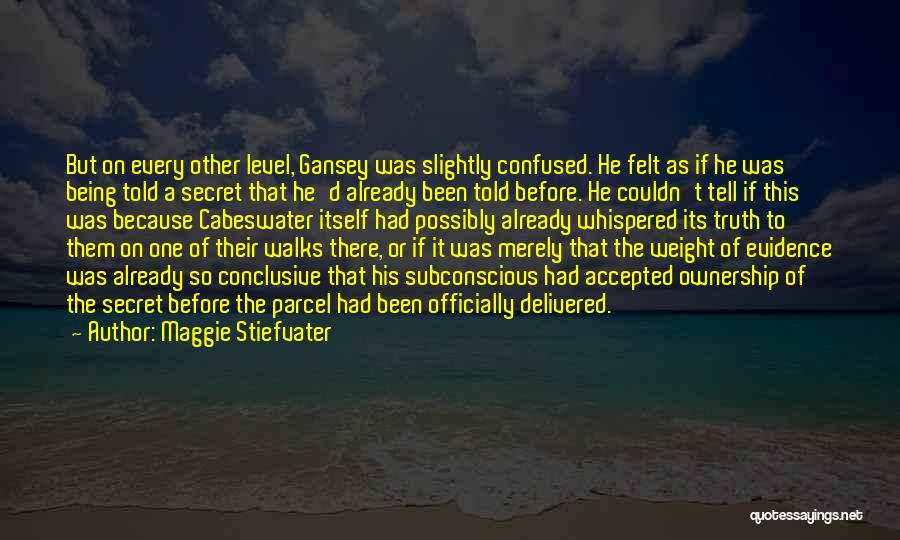 Maggie Stiefvater Quotes: But On Every Other Level, Gansey Was Slightly Confused. He Felt As If He Was Being Told A Secret That