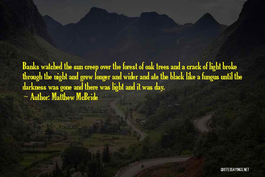 Matthew McBride Quotes: Banks Watched The Sun Creep Over The Forest Of Oak Trees And A Crack Of Light Broke Through The Night