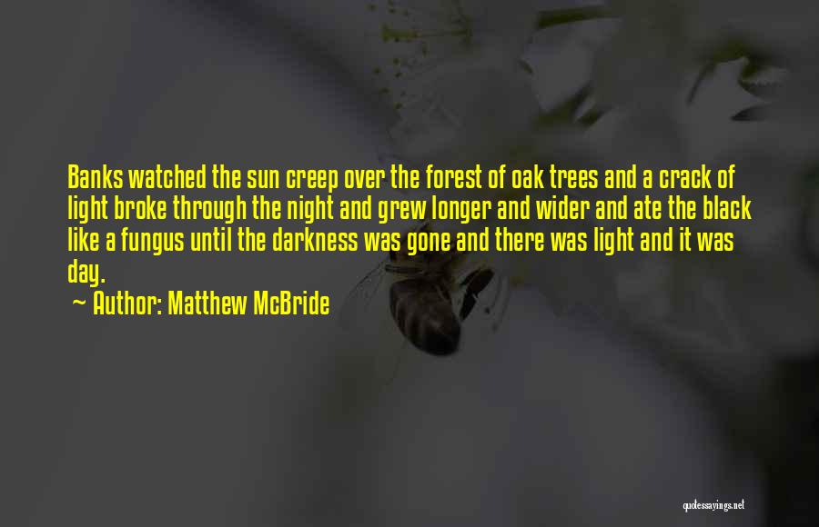 Matthew McBride Quotes: Banks Watched The Sun Creep Over The Forest Of Oak Trees And A Crack Of Light Broke Through The Night