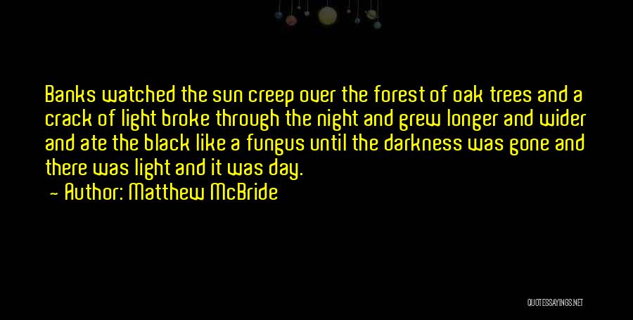 Matthew McBride Quotes: Banks Watched The Sun Creep Over The Forest Of Oak Trees And A Crack Of Light Broke Through The Night