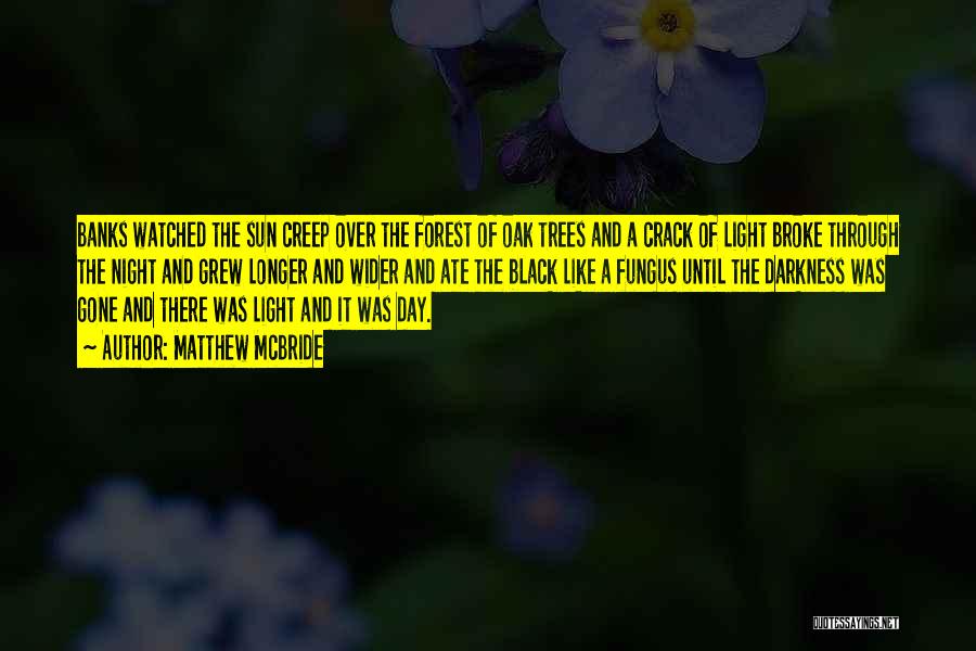 Matthew McBride Quotes: Banks Watched The Sun Creep Over The Forest Of Oak Trees And A Crack Of Light Broke Through The Night