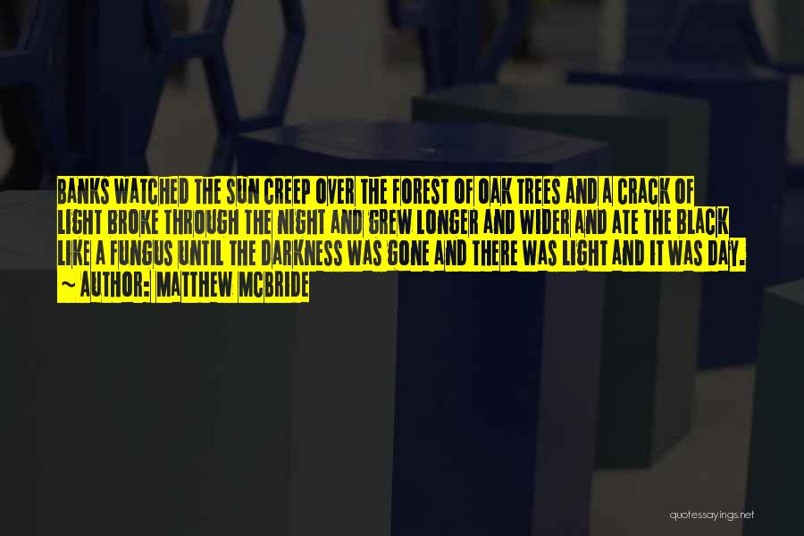 Matthew McBride Quotes: Banks Watched The Sun Creep Over The Forest Of Oak Trees And A Crack Of Light Broke Through The Night