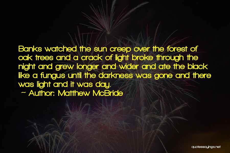 Matthew McBride Quotes: Banks Watched The Sun Creep Over The Forest Of Oak Trees And A Crack Of Light Broke Through The Night