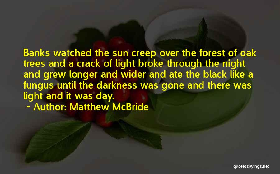 Matthew McBride Quotes: Banks Watched The Sun Creep Over The Forest Of Oak Trees And A Crack Of Light Broke Through The Night