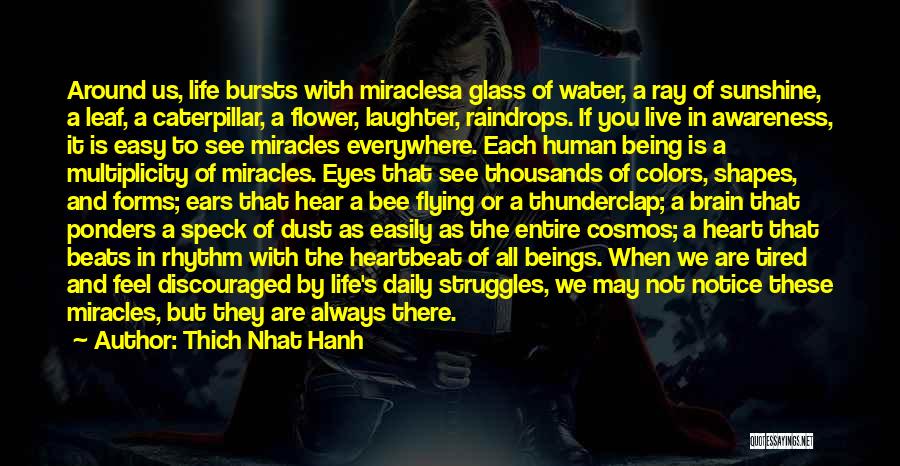 Thich Nhat Hanh Quotes: Around Us, Life Bursts With Miraclesa Glass Of Water, A Ray Of Sunshine, A Leaf, A Caterpillar, A Flower, Laughter,