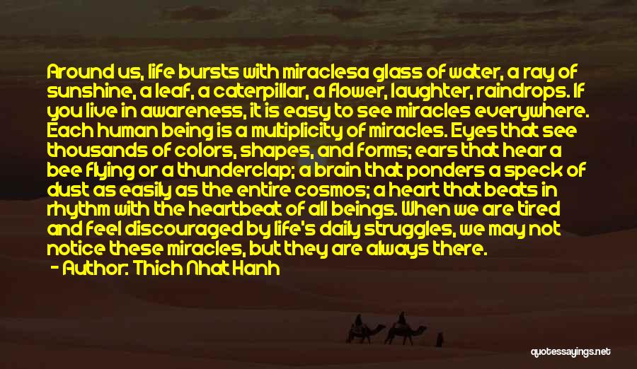 Thich Nhat Hanh Quotes: Around Us, Life Bursts With Miraclesa Glass Of Water, A Ray Of Sunshine, A Leaf, A Caterpillar, A Flower, Laughter,