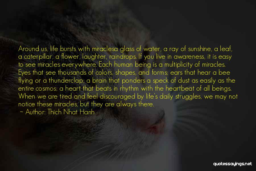 Thich Nhat Hanh Quotes: Around Us, Life Bursts With Miraclesa Glass Of Water, A Ray Of Sunshine, A Leaf, A Caterpillar, A Flower, Laughter,