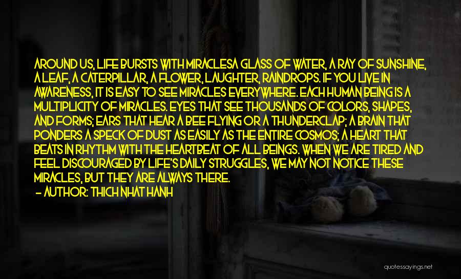 Thich Nhat Hanh Quotes: Around Us, Life Bursts With Miraclesa Glass Of Water, A Ray Of Sunshine, A Leaf, A Caterpillar, A Flower, Laughter,