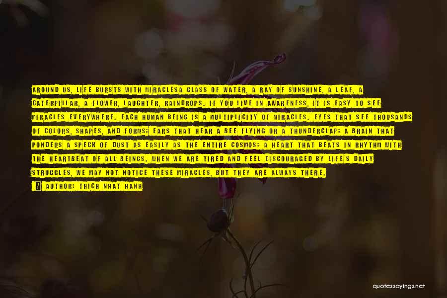 Thich Nhat Hanh Quotes: Around Us, Life Bursts With Miraclesa Glass Of Water, A Ray Of Sunshine, A Leaf, A Caterpillar, A Flower, Laughter,