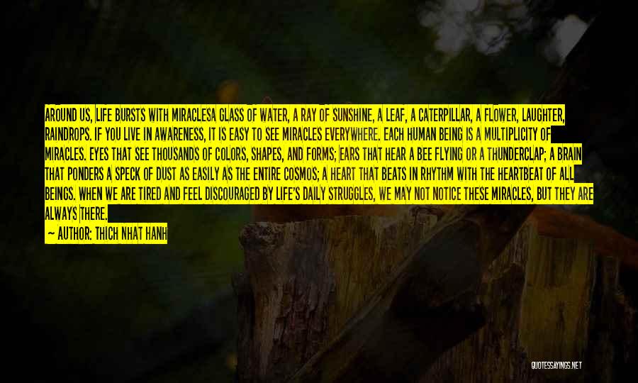 Thich Nhat Hanh Quotes: Around Us, Life Bursts With Miraclesa Glass Of Water, A Ray Of Sunshine, A Leaf, A Caterpillar, A Flower, Laughter,