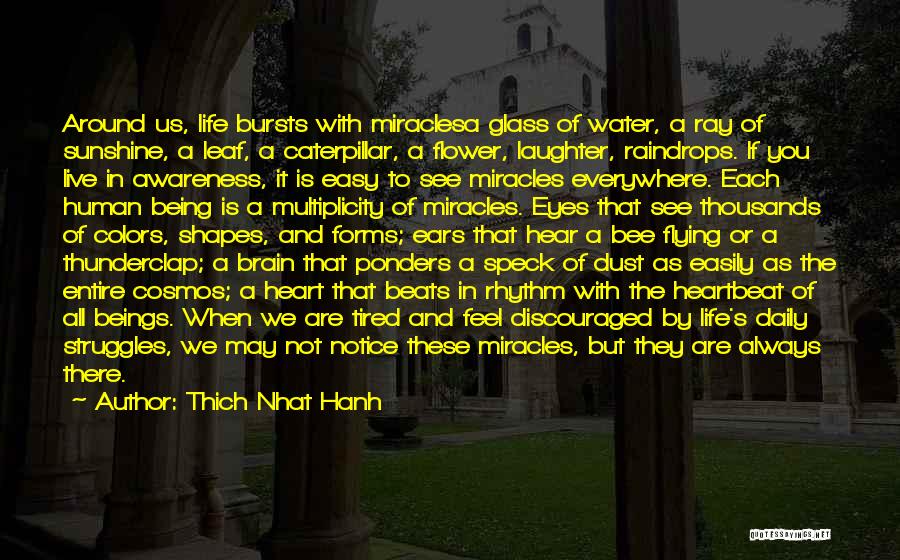 Thich Nhat Hanh Quotes: Around Us, Life Bursts With Miraclesa Glass Of Water, A Ray Of Sunshine, A Leaf, A Caterpillar, A Flower, Laughter,