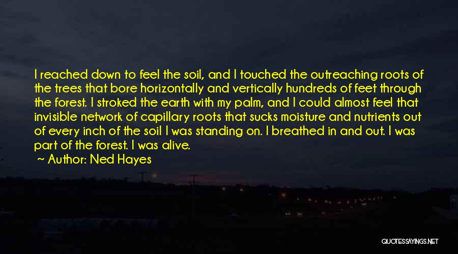 Ned Hayes Quotes: I Reached Down To Feel The Soil, And I Touched The Outreaching Roots Of The Trees That Bore Horizontally And