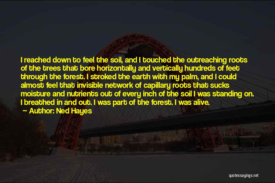 Ned Hayes Quotes: I Reached Down To Feel The Soil, And I Touched The Outreaching Roots Of The Trees That Bore Horizontally And