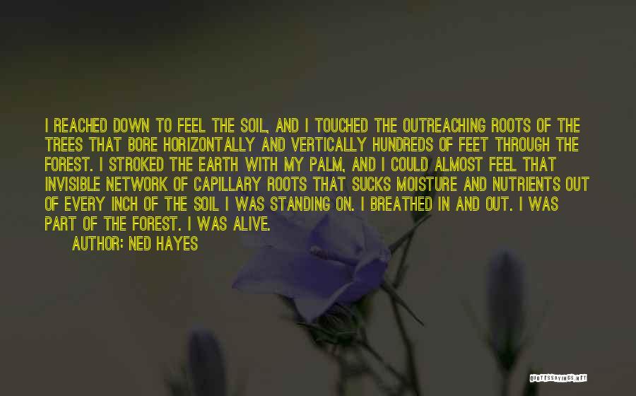 Ned Hayes Quotes: I Reached Down To Feel The Soil, And I Touched The Outreaching Roots Of The Trees That Bore Horizontally And