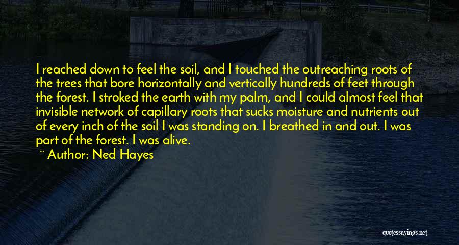 Ned Hayes Quotes: I Reached Down To Feel The Soil, And I Touched The Outreaching Roots Of The Trees That Bore Horizontally And