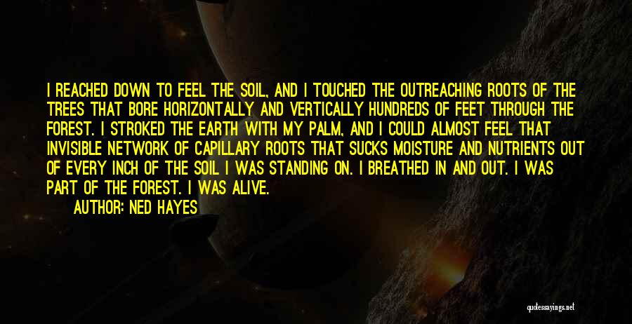 Ned Hayes Quotes: I Reached Down To Feel The Soil, And I Touched The Outreaching Roots Of The Trees That Bore Horizontally And