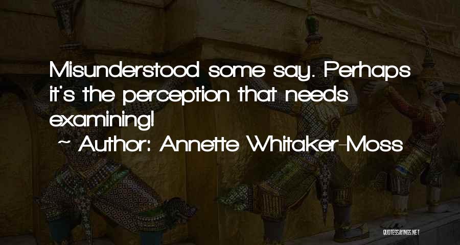 Annette Whitaker-Moss Quotes: Misunderstood Some Say. Perhaps It's The Perception That Needs Examining!