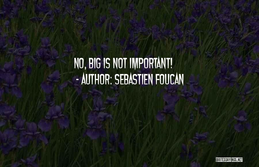 Sebastien Foucan Quotes: No, Big Is Not Important!