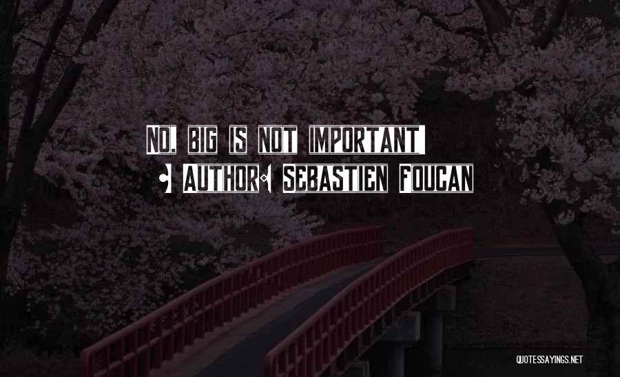 Sebastien Foucan Quotes: No, Big Is Not Important!